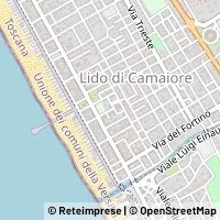 Kart Camaiore