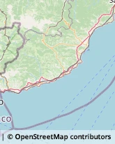 Torrefazioni Caffè - Vendita al Dettaglio ed Esercizi Taggia,18018Imperia