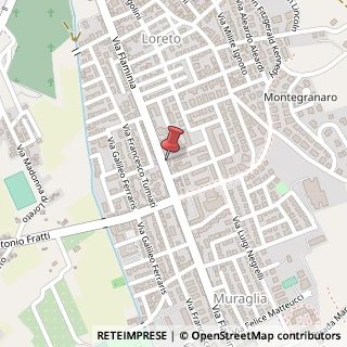 Mappa Via Federico Commandino, 4, 61122 Pesaro, Pesaro e Urbino (Marche)