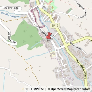Mappa Via Cristoforo Colombo, 6, 51012 Pescia, Pistoia (Toscana)