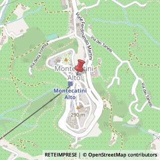 Mappa Via Ser Ugolino, 9, 51016 Montecatini Terme, Pistoia (Toscana)