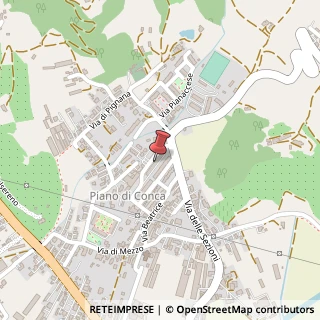 Mappa Via Conca Vecchia, 231, 55054 Massarosa, Lucca (Toscana)
