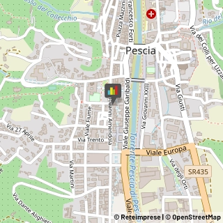 Assicurazioni,51017Pistoia