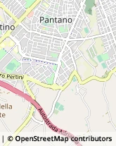 Consulenza di Direzione ed Organizzazione Aziendale Pesaro,61121Pesaro e Urbino