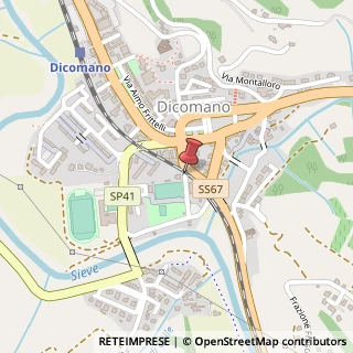 Mappa Viale Mazzini, 30, 50060 Dicomano, Firenze (Toscana)