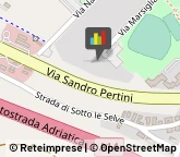 Consulenza Informatica,61122Pesaro e Urbino