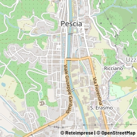 Mappa 51017