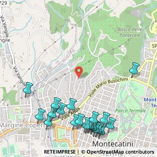 Mappa Via Niccolò Paganini, 51016 Montecatini Terme PT, Italia (0.7645)
