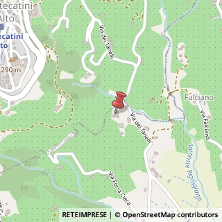 Mappa Via dei Tanelli, 7/A, 51016 Montecatini Terme, Pistoia (Toscana)