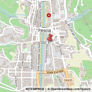 Mappa Via Angelo Simonetti, 9, 51017 Pescia, Pistoia (Toscana)