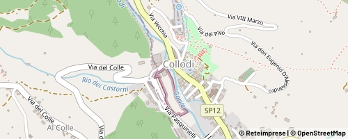 Mappa Pescia