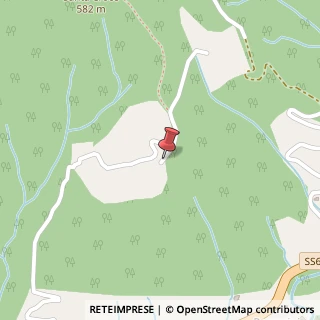 Mappa Via pinzani ettore 58, 50062 Dicomano, Firenze (Toscana)