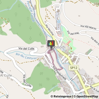 Agenzie ed Uffici Commerciali Pescia,51017Pistoia