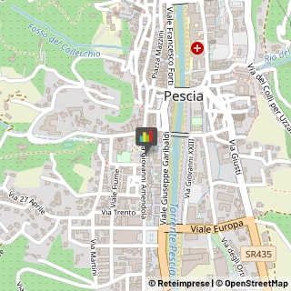 Assicurazioni,51017Pistoia