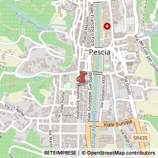 Mappa Via Giovanni Amendola, 19, 51017 Pescia, Pistoia (Toscana)