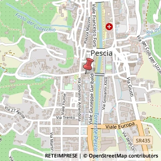 Mappa Piazza XX Settembre, 11, 51017 Pescia, Pistoia (Toscana)