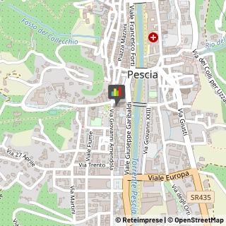 Assicurazioni,51017Pistoia