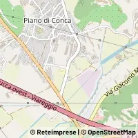 Map Massarosa