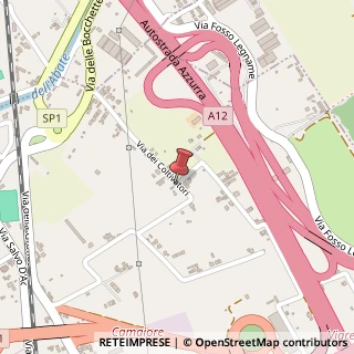 Mappa Via dei Coltivatori, n°56, 55049 Viareggio, Lucca (Toscana)