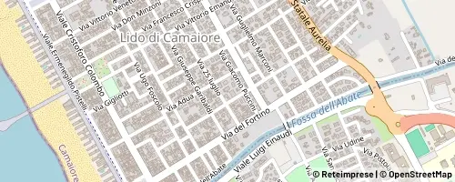 Mappa Camaiore