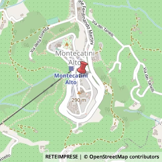 Mappa Via Castel Lemmi, 7, 51016 Montecatini Terme, Pistoia (Toscana)