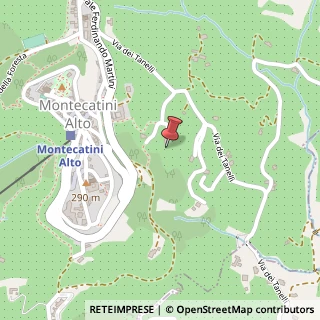 Mappa Via dei Tanelli, 4, 51016 Montecatini Terme, Pistoia (Toscana)