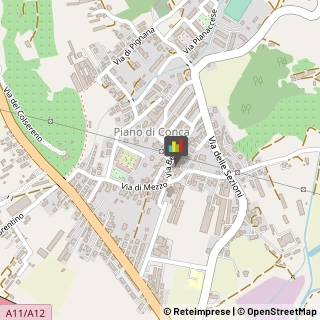 Manicure e Pedicure Massarosa,55054Lucca