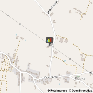 Vivai Piante e Fiori,51100Pistoia