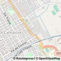 Kaart Camaiore
