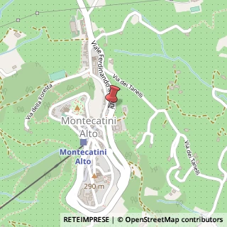 Mappa Via Porta di Borgo, 14, 51016 Montecatini Terme, Pistoia (Toscana)