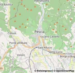 Mappa 51017 Pescia PT, Italia (1.23)