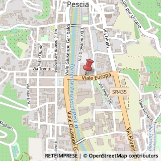 Mappa Viale Europa, 22, 51017 Pescia, Pistoia (Toscana)