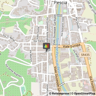 Assicurazioni,51017Pistoia