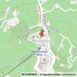 Mappa Via Fratelli Guermani, 1/3, 51016 Montecatini Terme, Pistoia (Toscana)