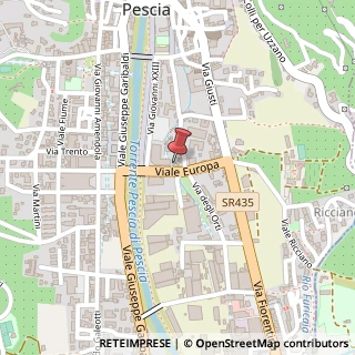 Mappa Viale Europa, 22/E, 51017 Pescia, Pistoia (Toscana)