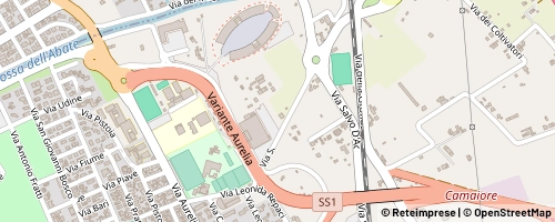 Mappa Viareggio