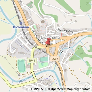 Mappa Piazza Trieste, 1, 50062 Dicomano, Firenze (Toscana)