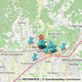 Mappa Viale Mario Bustichini, 51016 Montecatini Terme PT, Italia (1.33176)
