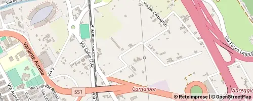 Mappa Viareggio