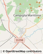 Aziende Agricole Campiglia Marittima,57021Livorno