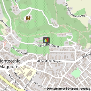 Caldaie a Gas Montecchio Maggiore,36075Vicenza