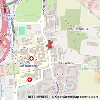 Mappa Via Olgettina Milano, 80, 20132 Milano, Milano (Lombardia)