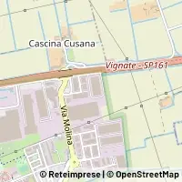 মানচিত্র Vignate