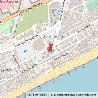 Mappa Via Bartolomeo Colleoni, 30016 Jesolo, Venezia (Veneto)