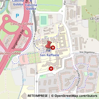 Mappa Via Olgettina Milano, 60, 20132 Milano, Milano (Lombardia)