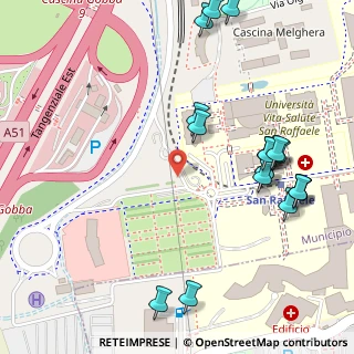Mappa IRCCS Ospedale San Raffaele, 20132 Milano MI, Italia (0.145)