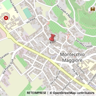 Mappa Via Giovanni Meneguzzo, 11, 36075 Montecchio Maggiore, Vicenza (Veneto)