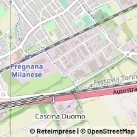 Map Pregnana Milanese