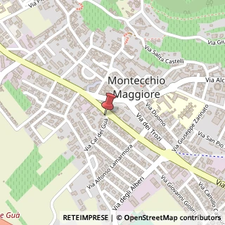 Mappa Via Cal de Gu?, 4, 36075 Montecchio Maggiore, Vicenza (Veneto)