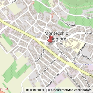Mappa Via Cal de Guà, 1, 36075 Montecchio Maggiore, Vicenza (Veneto)